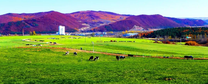 64ababdeb43ca.png 微信圖片_20230710145650.png