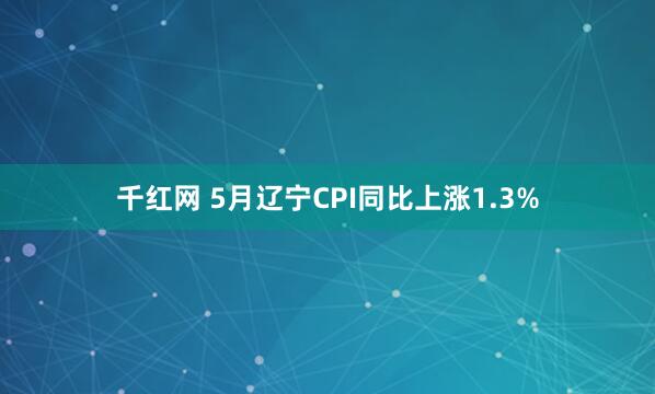 千红网 5月辽宁CPI同比上涨1.3%