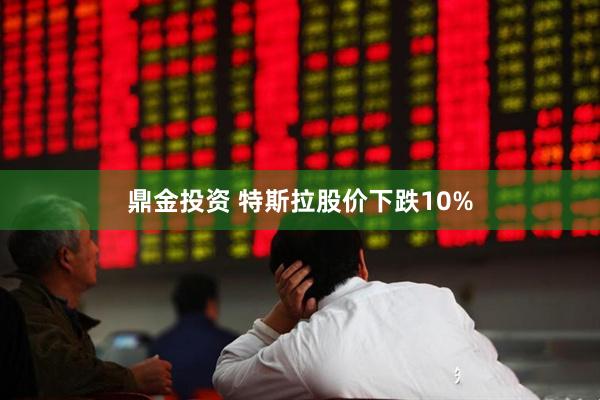 鼎金投资 特斯拉股价下跌10%